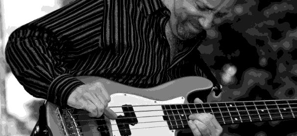 dave anderson bass